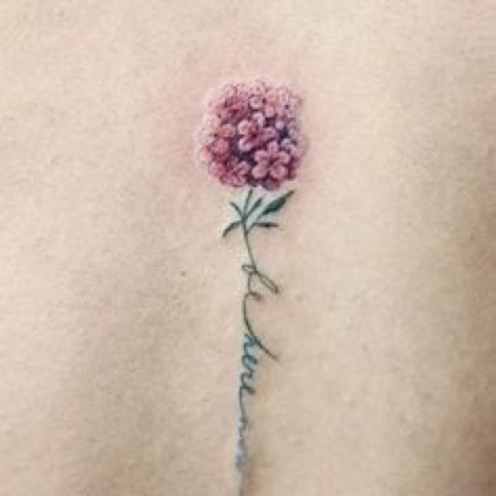 Meet your Posher, Sage